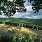 Randonnée Escapade dans le vignoble de Dorlisheim